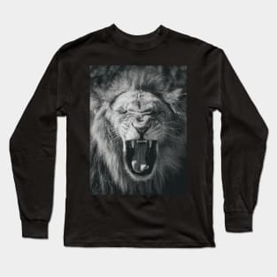 Beautiful lion Long Sleeve T-Shirt